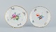 item no:
539189 item no:
539189