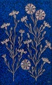 item no:
540997 item no:
540997