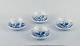 item no:
542068 item no:
542068