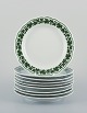 item no:
542074 item no:
542074