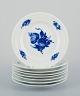 item no:
542084 item no:
542084
