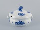 item no:
542403 item no:
542403