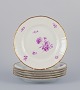 item no:
543743 item no:
543743
