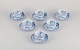 item no:
543983 item no:
543983