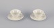 item no:
544033 item no:
544033