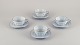 item no:
544038 item no:
544038