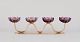 item no:
544062 item no:
544062