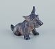item no:
550245 item no:
550245