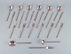 item no:
550439 item no:
550439