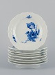 item no:
552114 item no:
552114