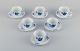 item no:
552116 item no:
552116