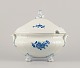 item no:
553644 item no:
553644