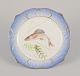 item no:
553648 item no:
553648