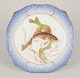 item no:
553650 item no:
553650