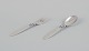 item no:
553884 item no:
553884