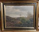 K. E. Lindgreen: Motiv med Rebild Bakker 1929