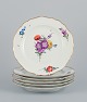 item no:
555796 item no:
555796