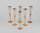 item no:
556041 item no:
556041