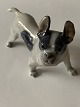 Royal Copenhagen figur af Boston terrier No 1457, 2. Sortering.SOLGT