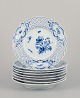 item no:
558109 item no:
558109