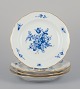 item no:
562673 item no:
562673