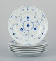 item no:
562980 item no:
562980