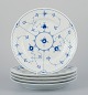 item no:
562981 item no:
562981