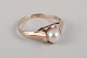 item no:
563369 item no:
563369