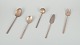item no:
564203 item no:
564203