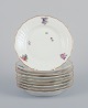item no:
566061 item no:
566061