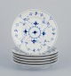 item no:
566821 item no:
566821