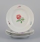 item no:
568128 item no:
568128