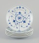 item no:
568742 item no:
568742