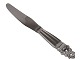 Georg Jensen AcornLong dinner knife 23.0  cm.