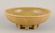 item no:
569619 item no:
569619