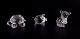 item no:
569637 item no:
569637