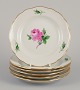 item no:
570281 item no:
570281