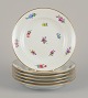 item no:
570283 item no:
570283