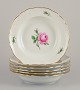 item no:
570285 item no:
570285