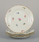 item no:
570734 item no:
570734