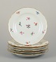 item no:
570745 item no:
570745