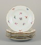 item no:
570746 item no:
570746