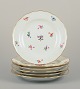 item no:
570747 item no:
570747
