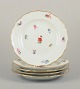 item no:
570748 item no:
570748