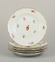 item no:
570749 item no:
570749