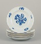 item no:
570755 item no:
570755