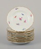 item no:
570775 item no:
570775