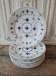 item no:
571921 item no:
571921