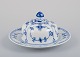 item no:
573129 item no:
573129