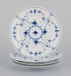 item no:
576385 item no:
576385
